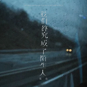 我们终究成了陌生人 - 烟嗓男版 by 张良
