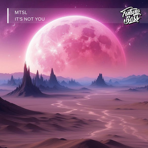 It's Not You by MTSL
