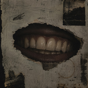 Veneer by weyn