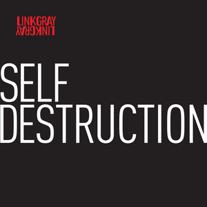 Self Destruction by LINK GRAY