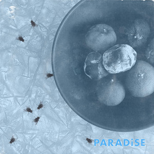 Paradise/Parasite II by Cell Rot