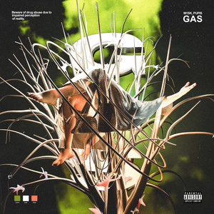 Gas by Pupis, M1sk