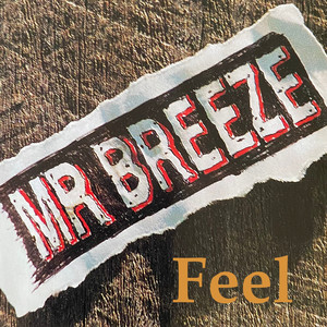 Feel by Mr Breeze
