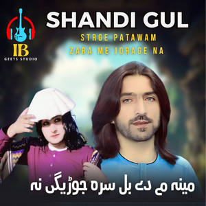 Shandi Gul - Strge Patawam Zara Me Jorage na