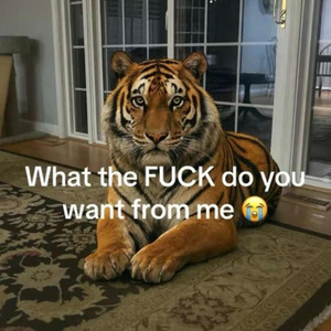 OK BET