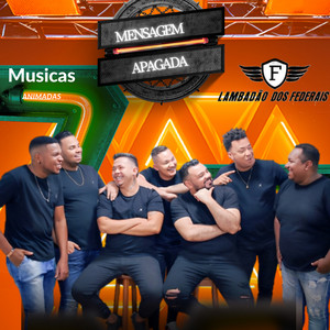 lambadao dos federais & musicas animadas - Mensagem Apagada
