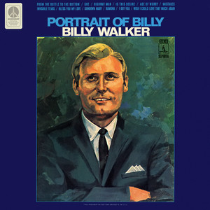 From the Bottle to the Bottom by Billy Walker