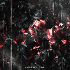 Crawl.fm by FaceLift
