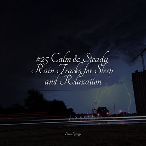 #25 Calm & Steady Rain Tracks for Sleep and Relaxation album