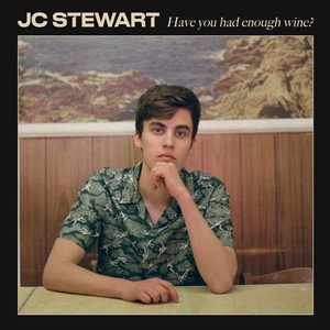 Have You Had Enough Wine? by JC Stewart