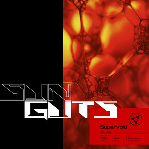 Parasocial End Series (part 2) by Sun Guts