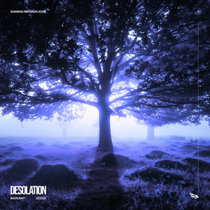 Desolation by Backlight