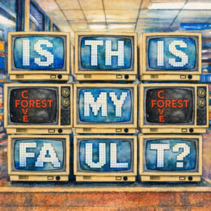 is this my fault? by forest cove