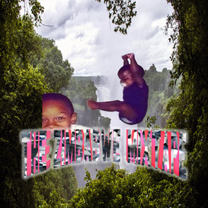 album cover: THE ZIMBABWE MIXTAPE