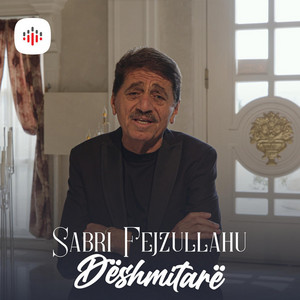Sabri Fejzullahu - Dëshmitarë