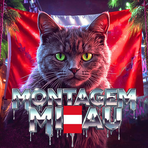 The Yacare - MONTAGEM MIAU SLOWED