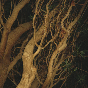 WAHAB - How Lonely You Were