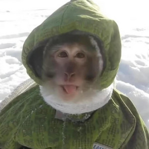 funee monkee freestyle (feat. Kaijune)