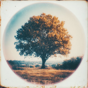 broken clocks by Moonwire Radio