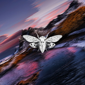Primordia by Time Beyond