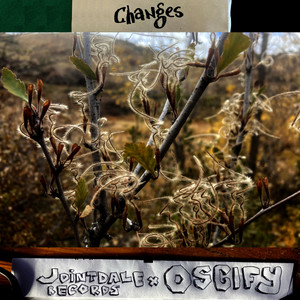Portada de Changes