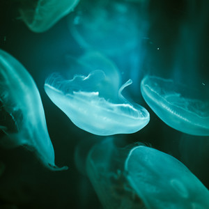 maelstrom by Anotherwave
