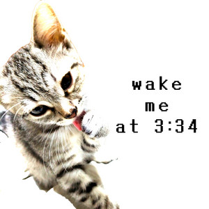 wake me at 3:34 by gutwired