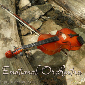 Kyrylo Zaplotynskyi — Emotional Orchestra