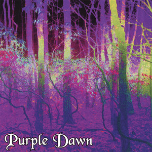 Purple Dawn photo