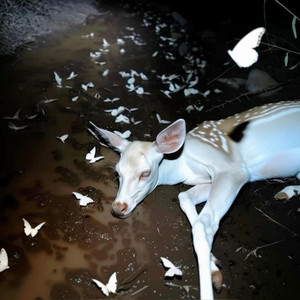Roadkill by Sleepy Opiate