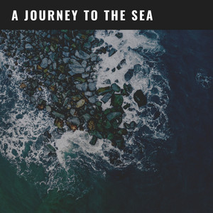 Tranquil Ocean Sounds: A Journey to the Sea album
