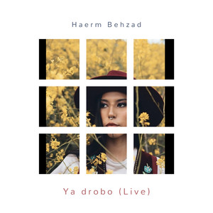 Gundin (Live)