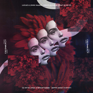 Irreplaceable by Lucad, John Haage, Elias O