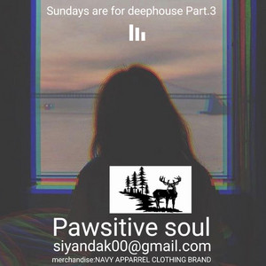 Pawsitive Soul - Pawsitive soul (sundays are for deephouse Part.3)