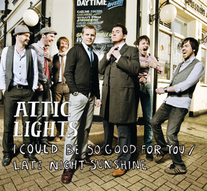 I Could Be So Good For You - (Official Minder theme)