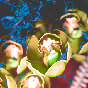 Uneven Objects 1 by Albino Sound