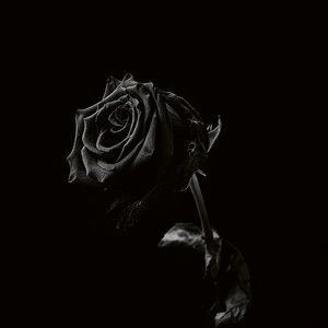 Viclan — Healing Wounds (2026)