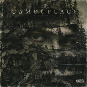 Camouflage by Lutas