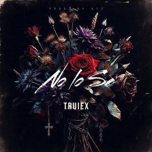 NO LO SE by Truiex