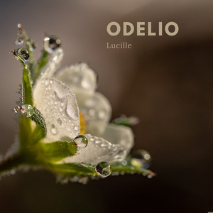 Lucille by ODELIO