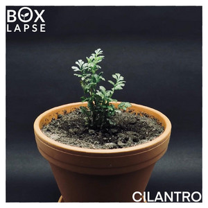 CILANTRO (Original Soundtrack) by Canon Herring