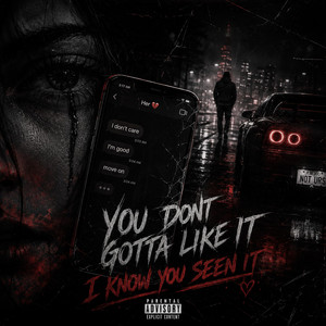 You Don’t Gotta Like It by XAVARN