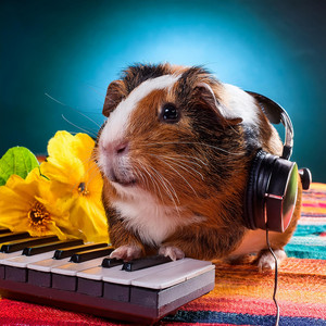 Los Cobayos - Chinese Song