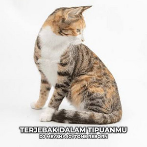 Terjebak Dalam Tipuanmu by DJ Meysha Icytone Reborn