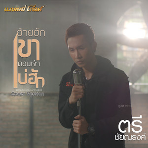 อ้ายฮักเขา ตอนเจ้าบ่ฮัก (Cover) by ตรี ชัยณรงค์