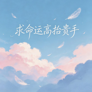 求命运高抬贵手 - 美声对唱版 by 海来兄弟, 林羲焱