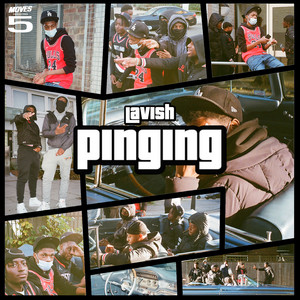 PINGING by Lavish