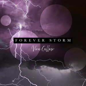 Forever Storm by Vira Callow