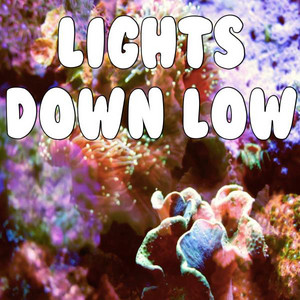 Lights Down Low (Remix) (Oh Turn The Lights Turn The Lights Down