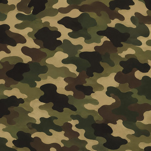 camoflauge by 7even6ix2wos